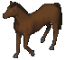Phillip’s Wooden Steed
